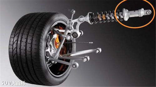 汽车悬挂多少钱