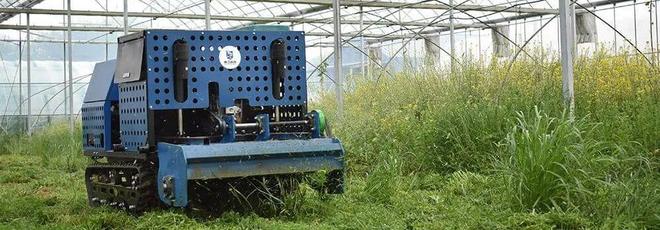 岚江科技：机器人解决果园农田种植难题